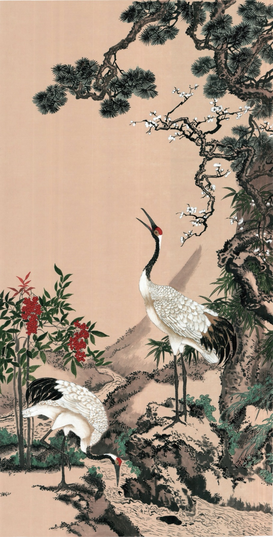 图片1.png