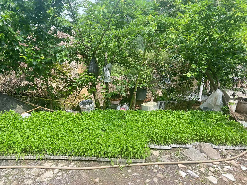 1781573543112300.png 图片5.png